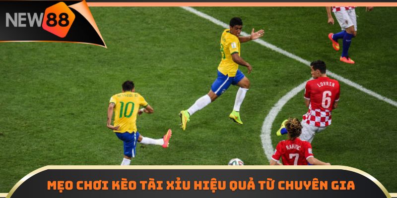 Mẹo chơi kèo tài xỉu hiệu quả từ chuyên gia 