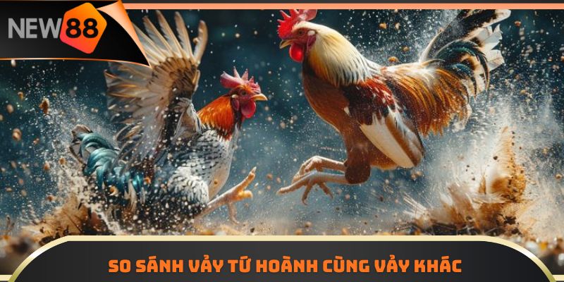So sánh vảy Tứ Hoành cùng vảy khác